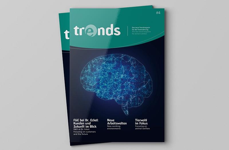 ECK Trendmag 800x525 1