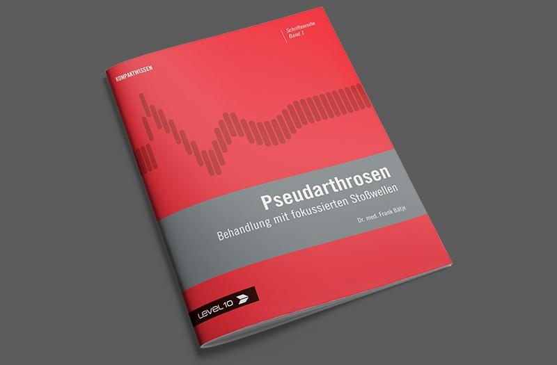 Level10 Schriftenreihe 800x525